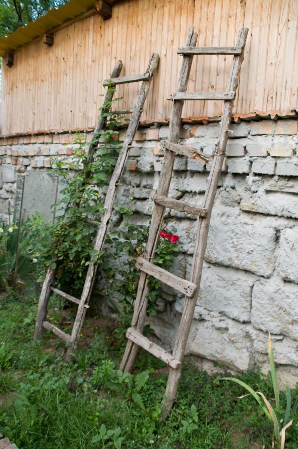 Notas Tuecsoek Vendeghaz Daire Agyagosszergény Dış mekan fotoğraf