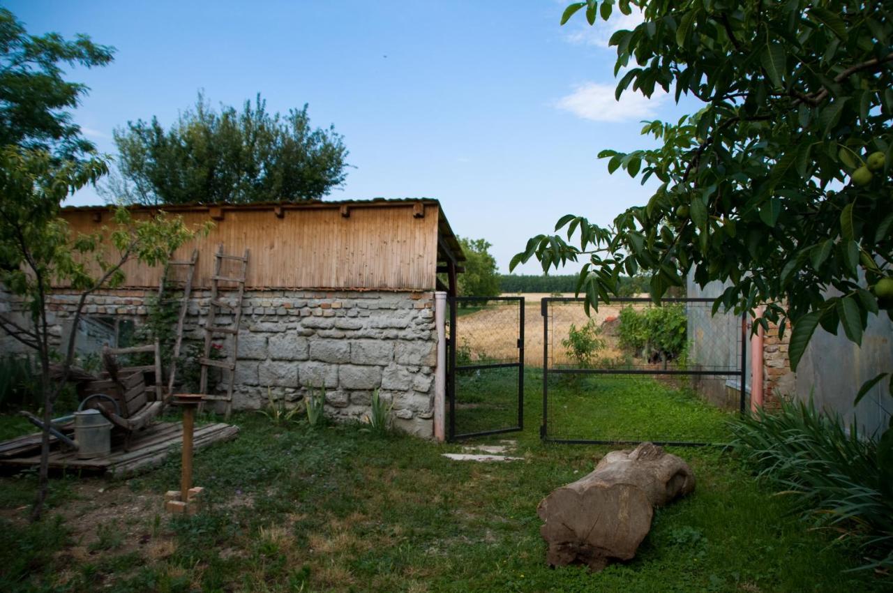 Notas Tuecsoek Vendeghaz Daire Agyagosszergény Dış mekan fotoğraf